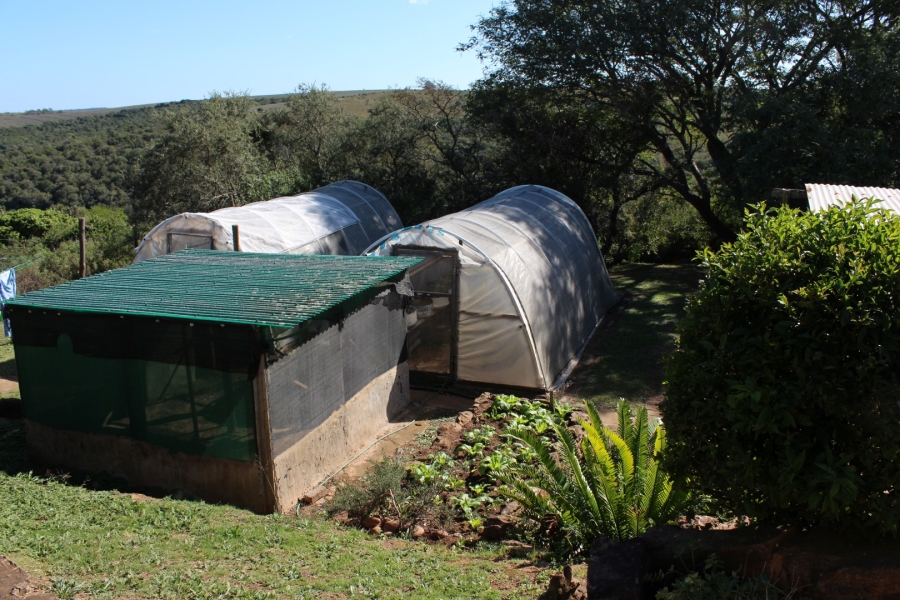 3 Bedroom Property for Sale in Bathurst Eastern Cape